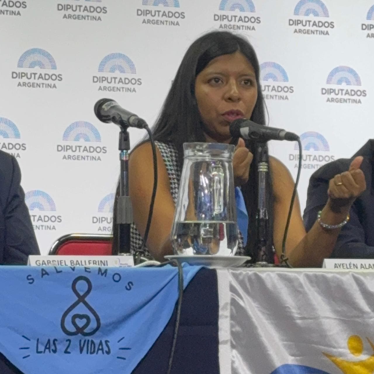 Enlace Parlamentario - Conferencia en el Congreso