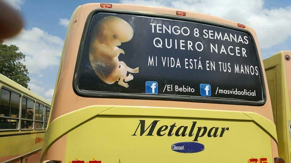 Carteles - Fundación +VIDA